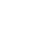 lungs