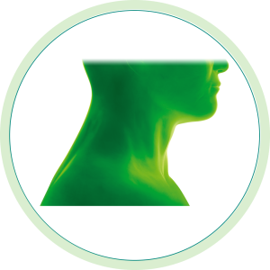 Image de la tête et du cou