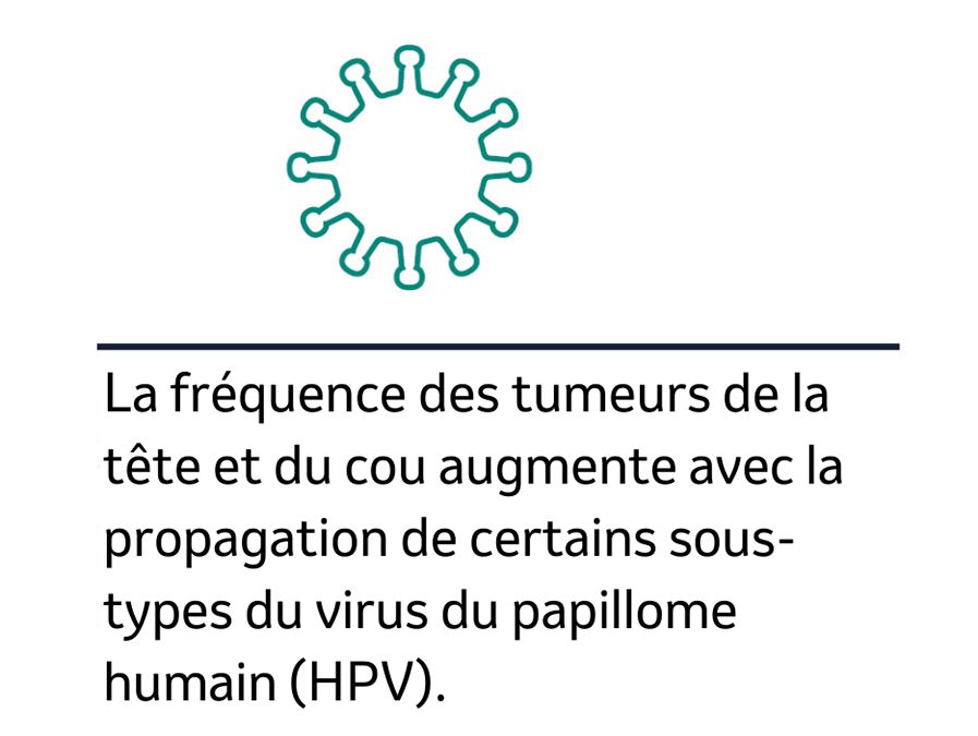Virus icon with text about HPV increasing the risk of head and neck cancers.