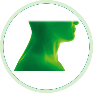 Immagine della testa e del collo