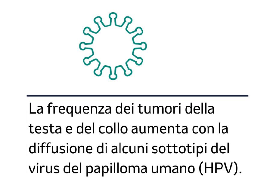 Virus icon with text about HPV increasing the risk of head and neck cancers.