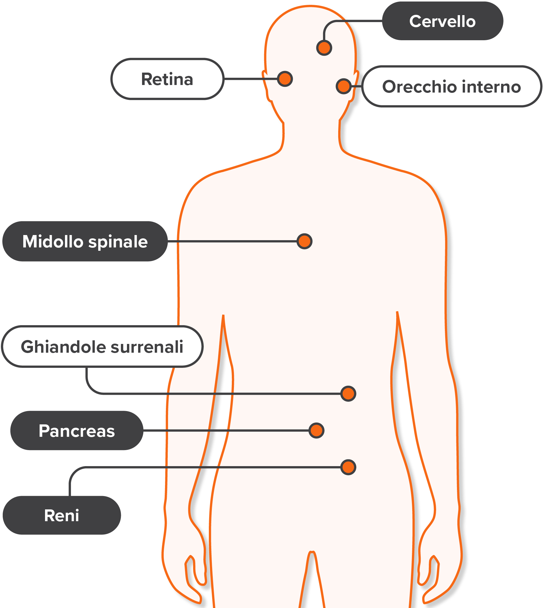 Pazienti con la VHL spesso sviluppano ulteriori tumori, tra i quali